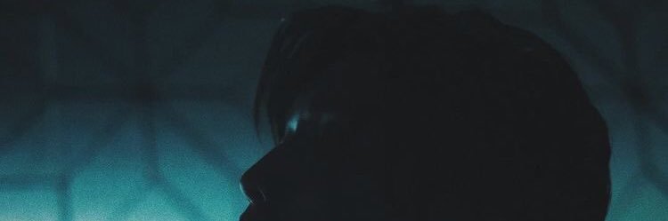 tlnf20 banner