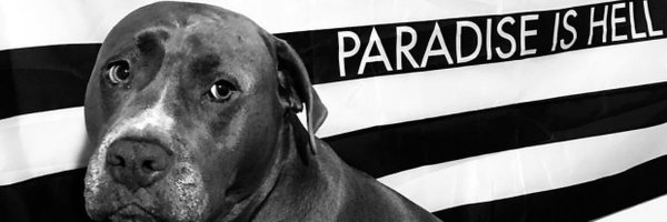 mryan235 Profile Banner