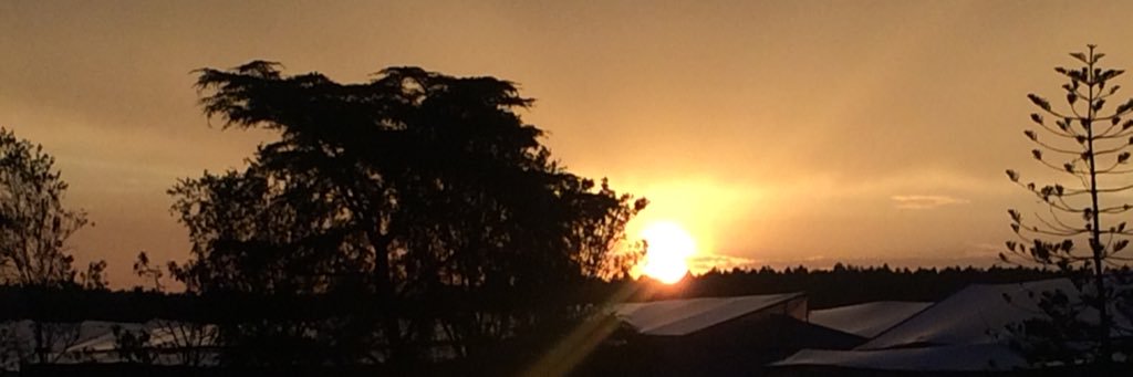 michaelmunene's profile banner image