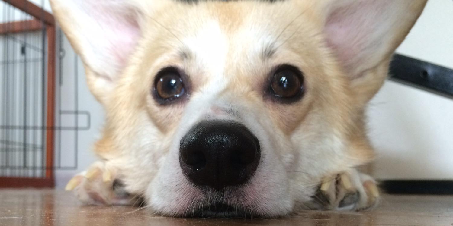 yoskoike's profile banner image