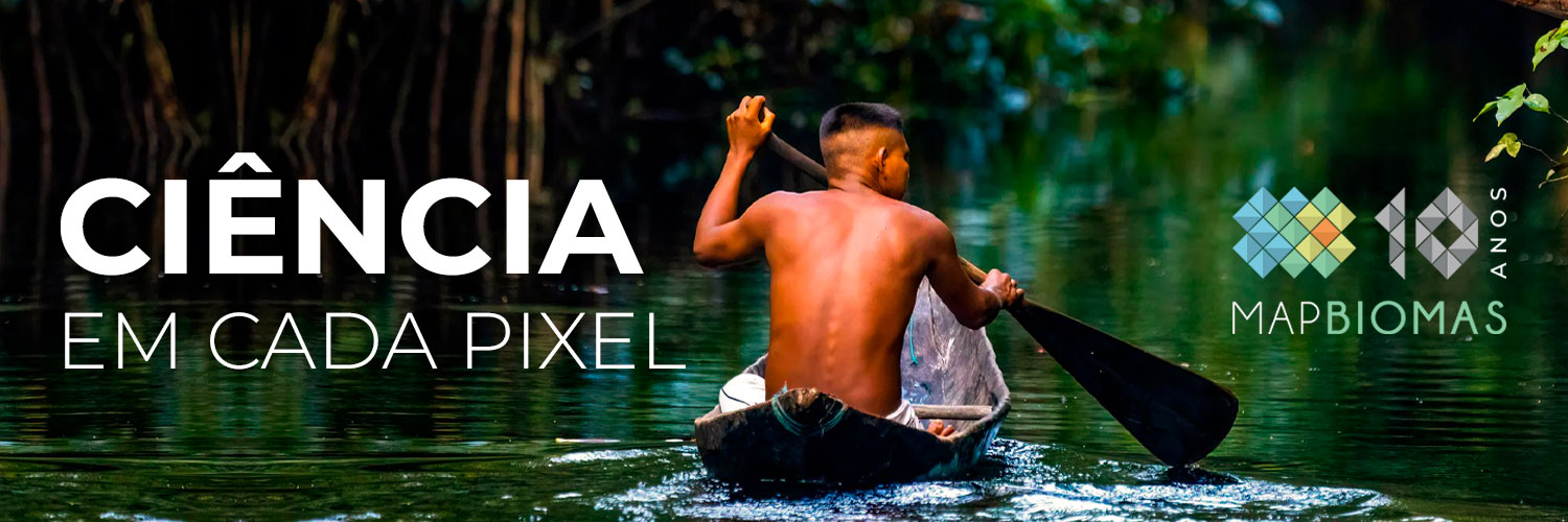 MapBiomas banner