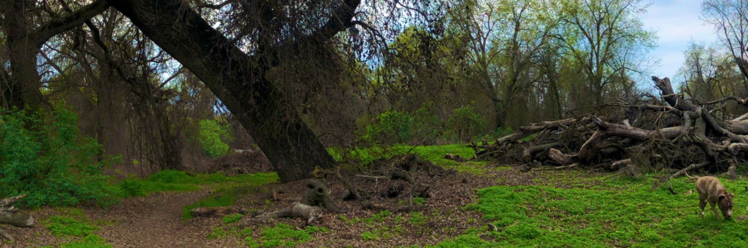RealAudwrld's profile banner image