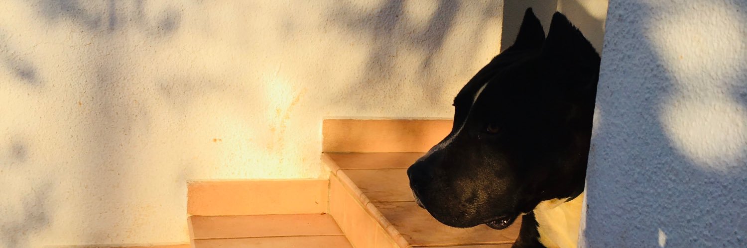 Maria G. Fantasia banner