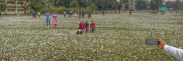 (Ø,G)꧁IP꧂(🍊,💊)π²(❖,❖) | ETHGas ⛽ banner