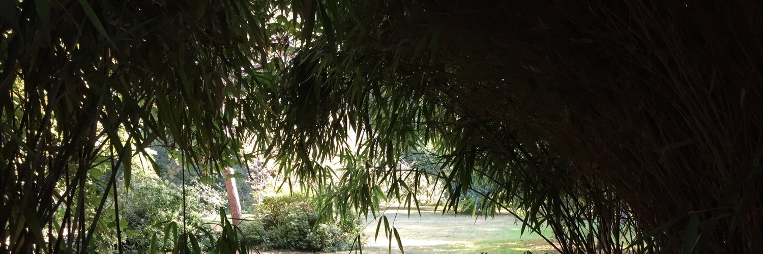 François Deysson banner