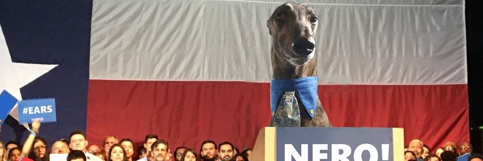 tha cowboy dog banner