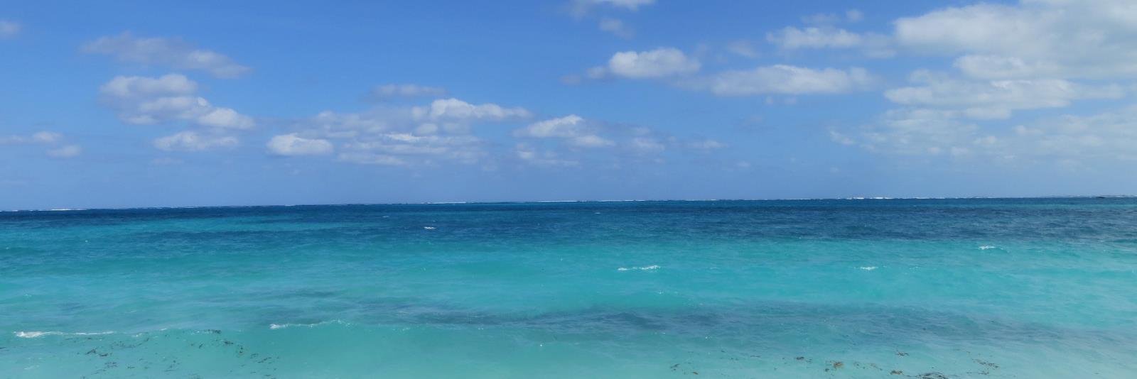 ScottStimpfel's profile banner image