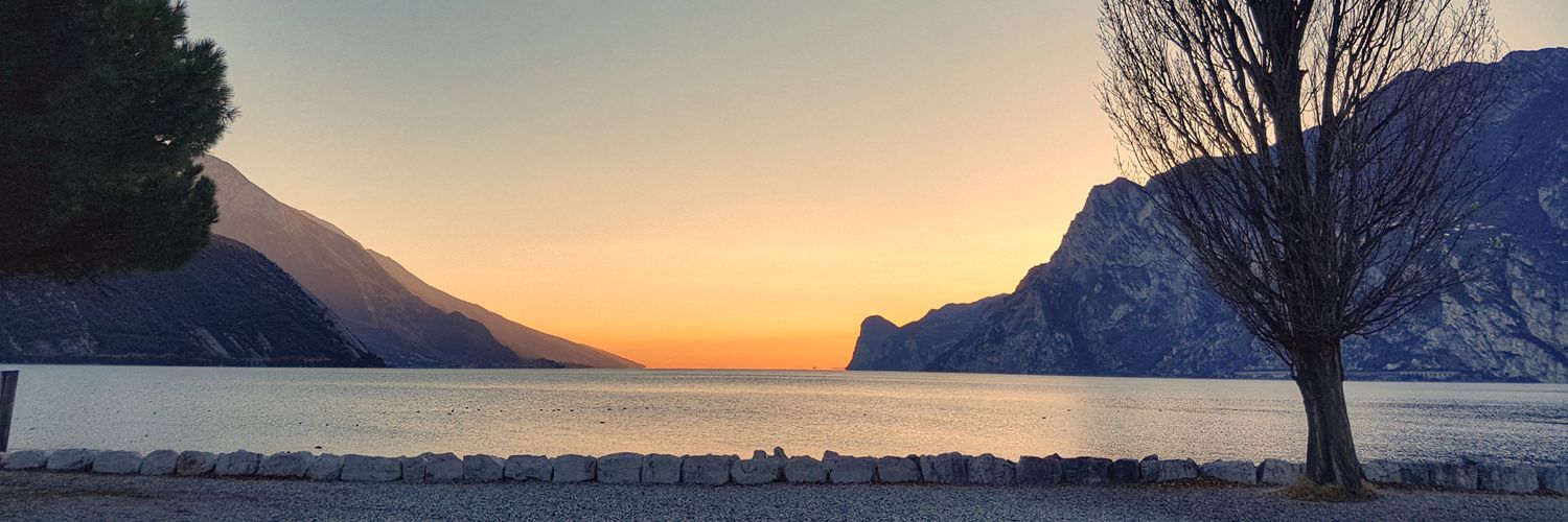 Gabriele Franch banner