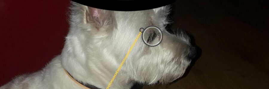 Alber_Roman's profile banner image