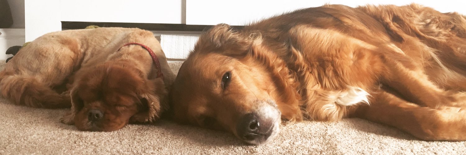 Laura Jackson Bennett banner