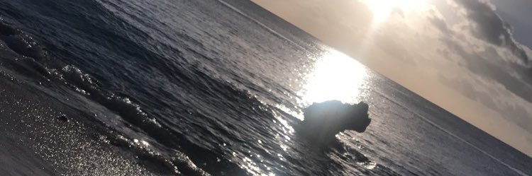 sherelle96's profile banner image