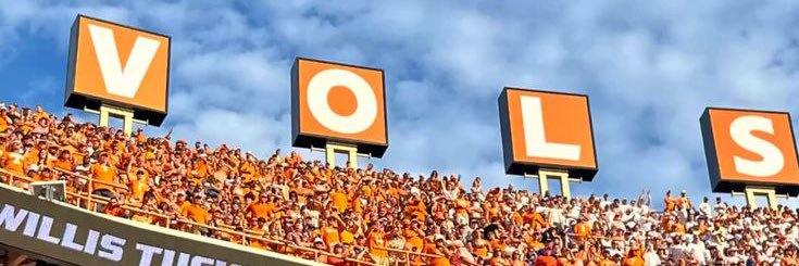 SullenSerf's banner
