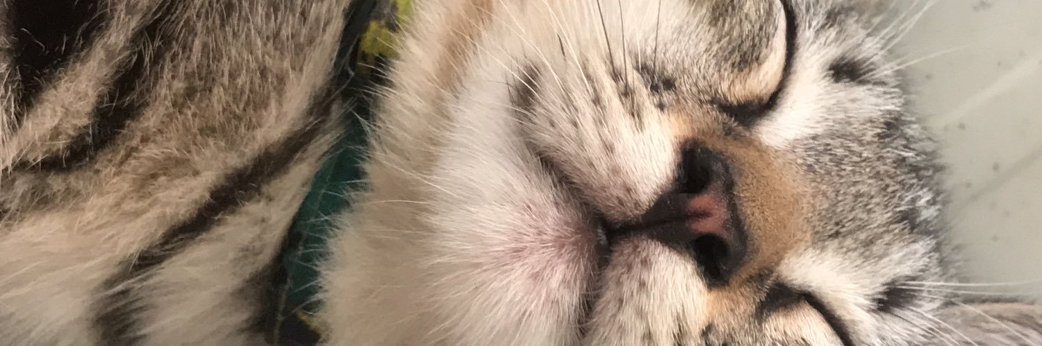 toddpipchan's profile banner image