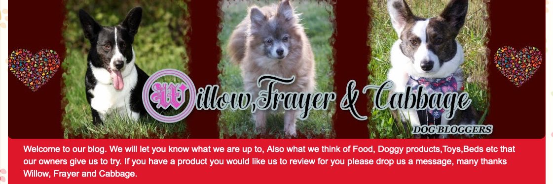 WillowAnCabbage's profile banner image