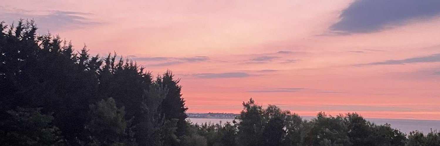 Emmie ❤️ banner