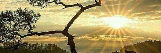 Sozkan1209's profile banner image