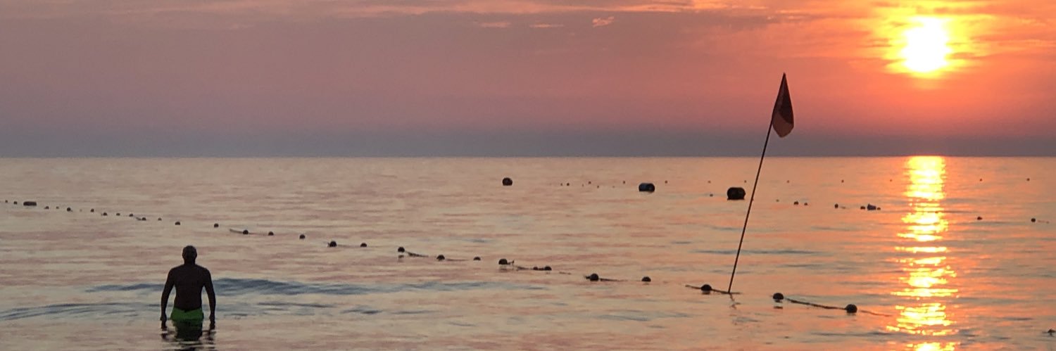 Edvin Krasniqi banner