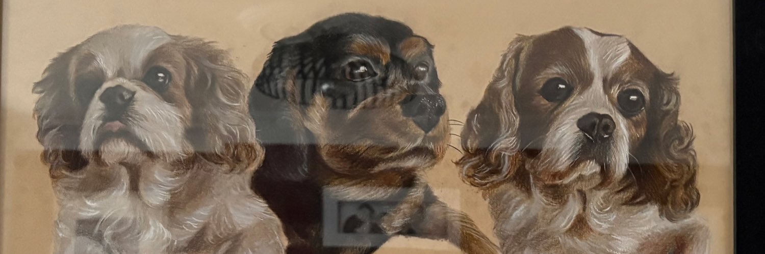 Bruce Ingham 🐶Miss my Barney & Clara🌈 banner