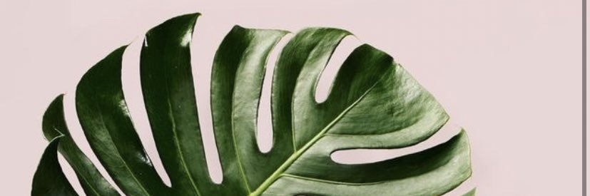 emilysaevil's profile banner image