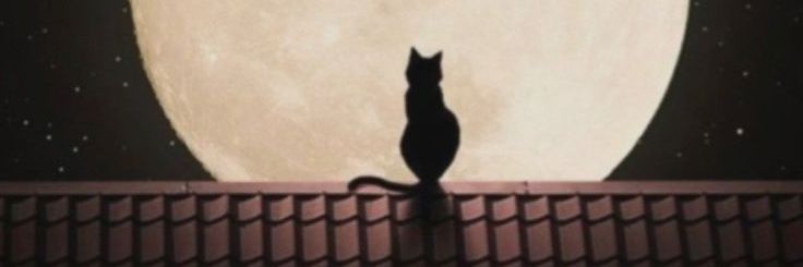 Helocreis's profile banner image