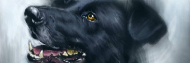 Juan Reyes del 41.8%, anti-reineto anti-robalo banner