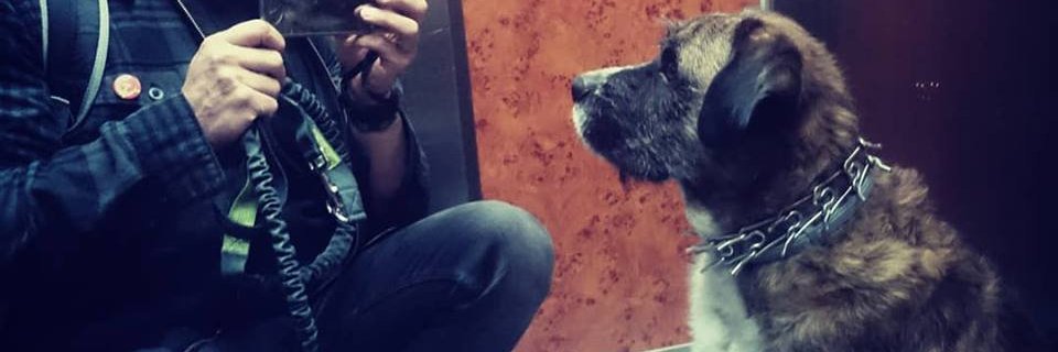 ManOf_Constant's profile banner image