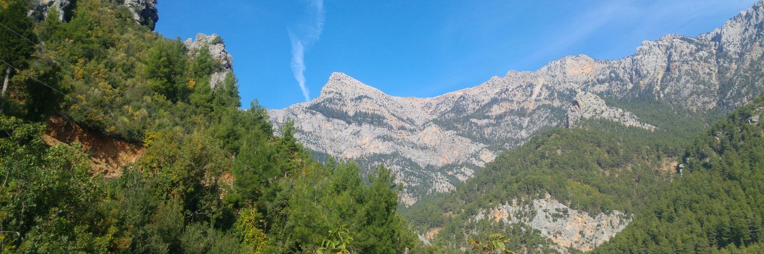 Cemal_OKTAR's profile banner image