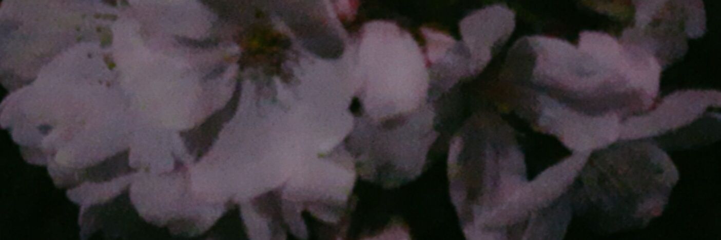 fa_ge94's profile banner image