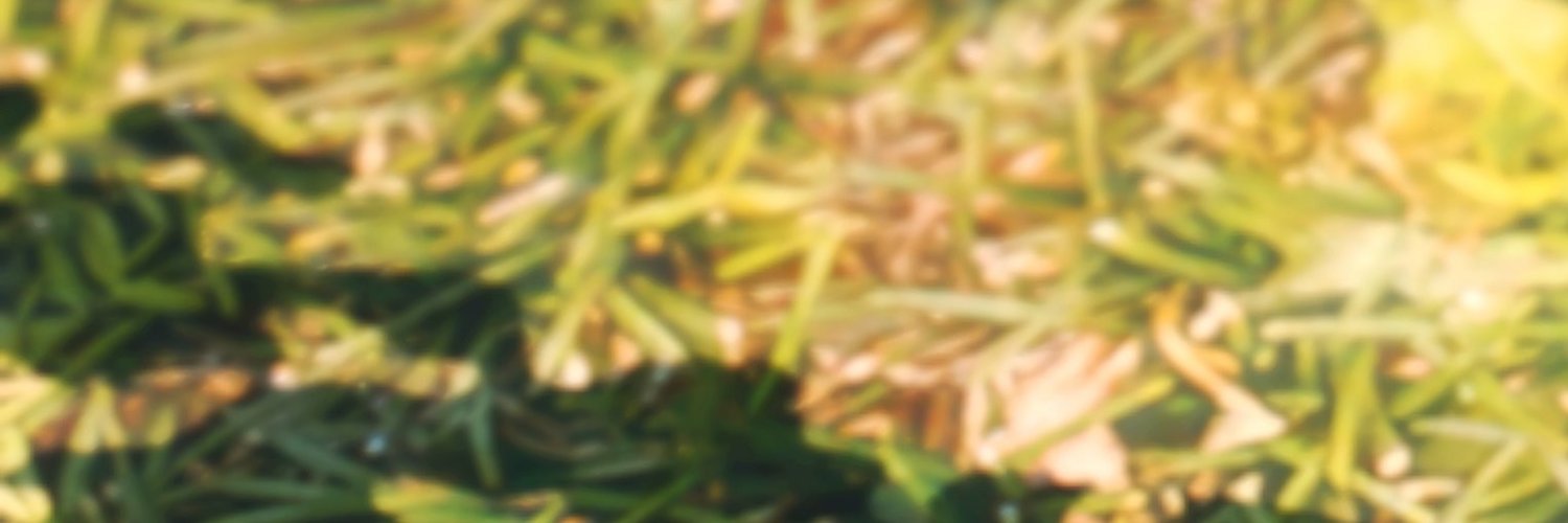 ha_j_ff14's profile banner image