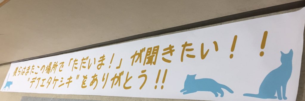 MIYA5013's profile banner image