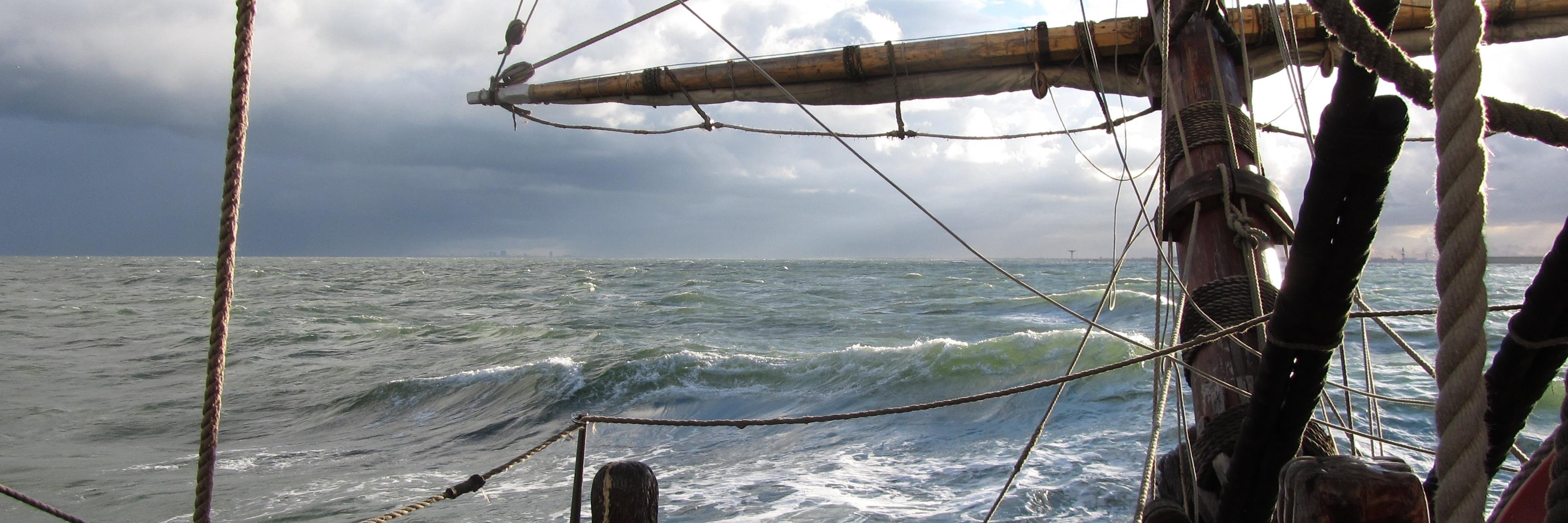 Dmitry Smirnov banner