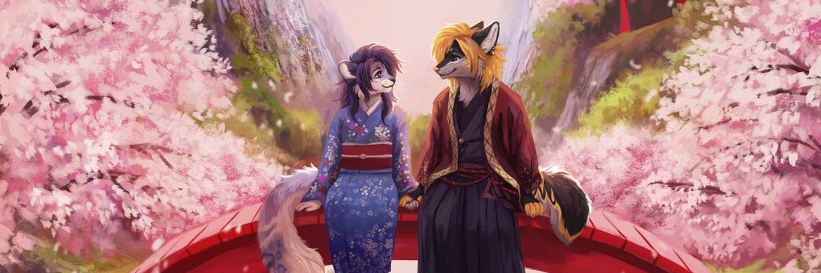 Cat banner