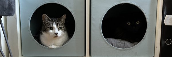 hanesydd Profile Banner