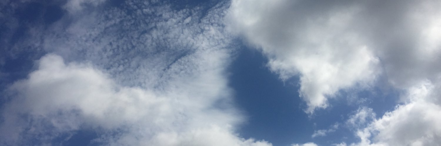 Kath Morton-Smith banner