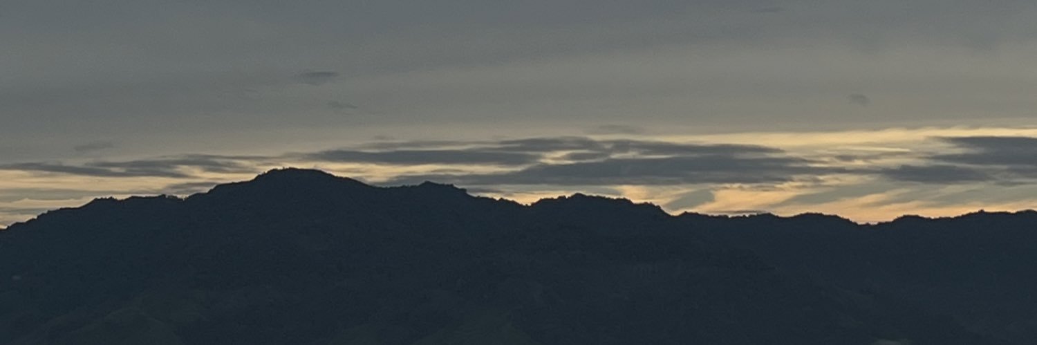 gughbee's profile banner image