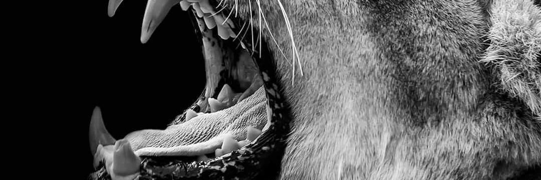 davidkunlero's profile banner image