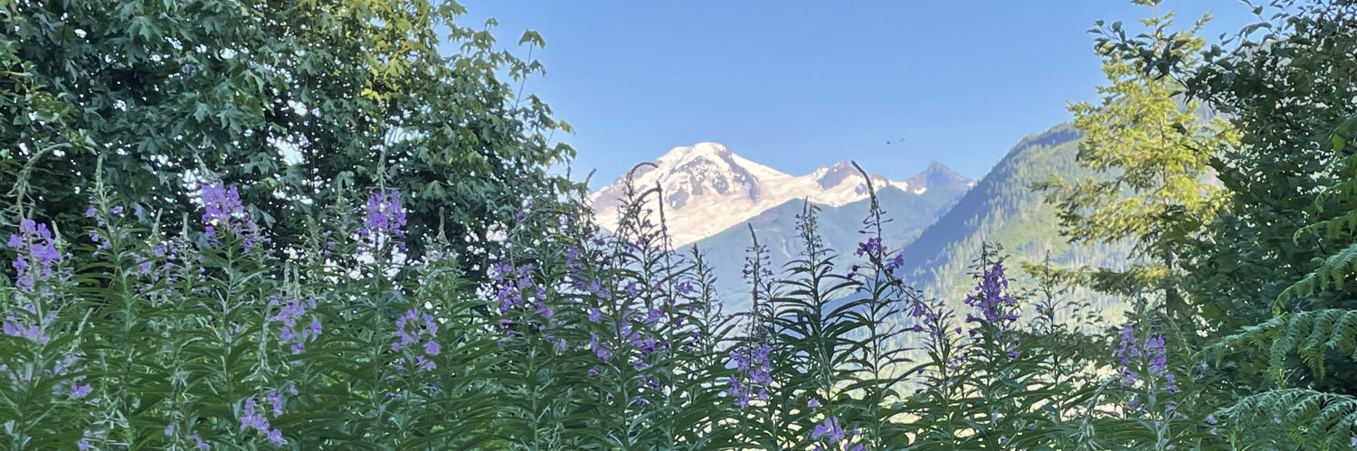 @colliand@fosstodon.org banner