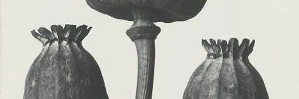 Rthyxn Profile Banner