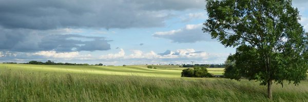 FenEdgeTrail Profile Banner