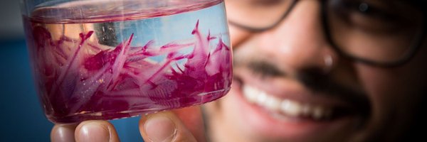 uclbiosciences Profile Banner