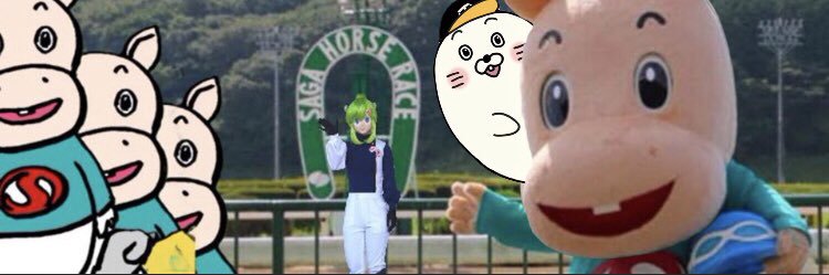 あざらし's banner