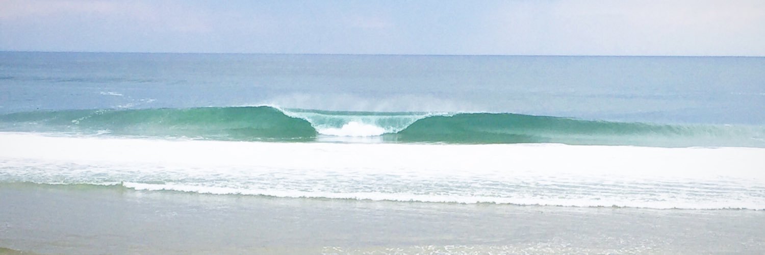 Ferran Tomàs 🚩♻️🌊🇵🇸 banner