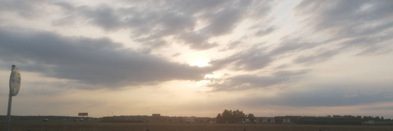 GemsonMusk's profile banner image