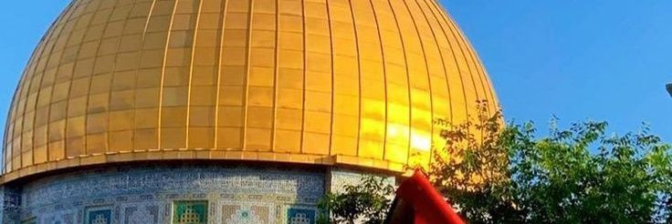 رِيــم𓂆🇵🇸's banner