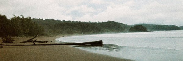 Alexispepillo Profile Banner