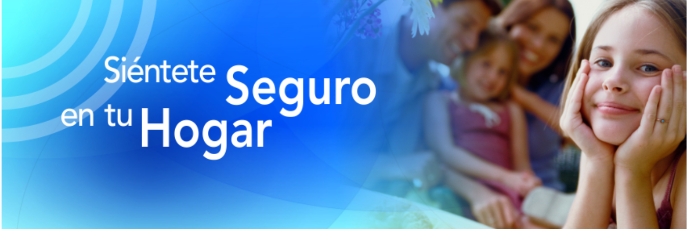 Seguricel's profile banner image