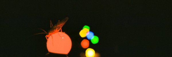 CorentinDuval1 Profile Banner