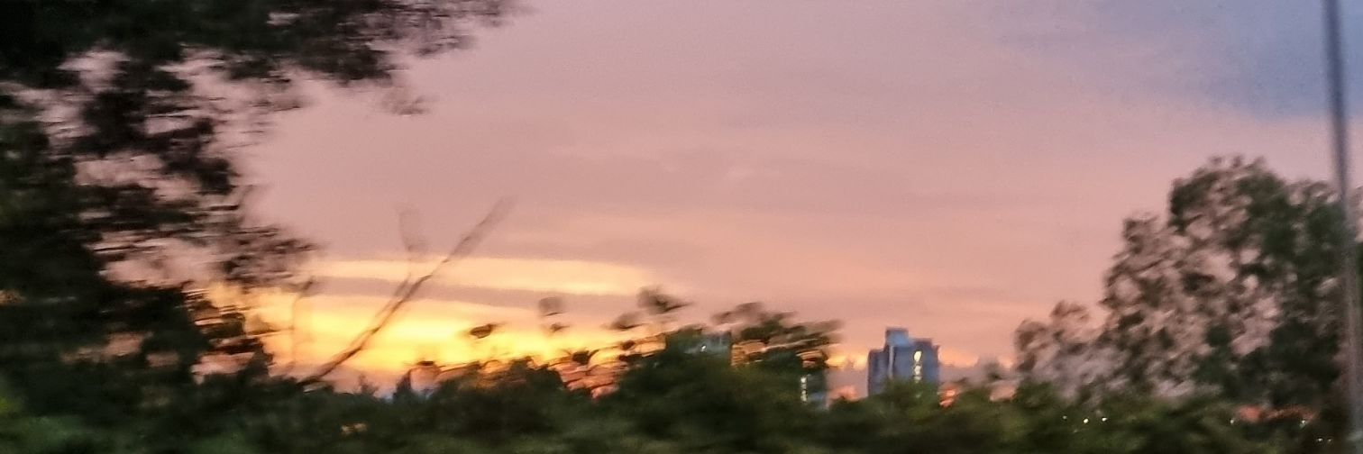 yssmnnnn's profile banner image