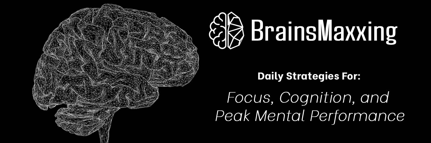 brainsmaxxing's profile banner image