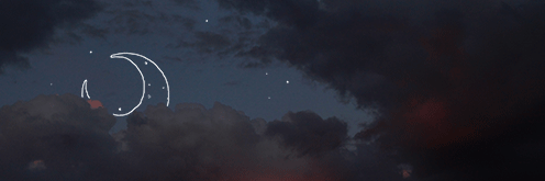 𝑅𝒶𝓇𝒾𝓃 🕊 | @rest banner